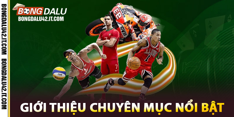 Giới Thiệu Bongdalu42 | Trang Cập Nhật Tỷ Số ONLINE 24/24 2 Giới thiệu những chuyên mục nổi bật