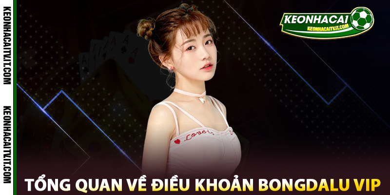 Điều Khoản Bongdalu Vip - Những Quy Định Cần Nắm Rõ 1 Tổng Quan về điều Khoản Bongdalu Vip