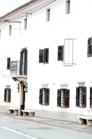 Gostina Muha