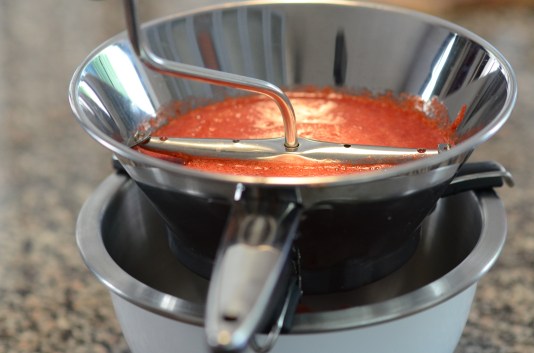 Strawberries Food Mill