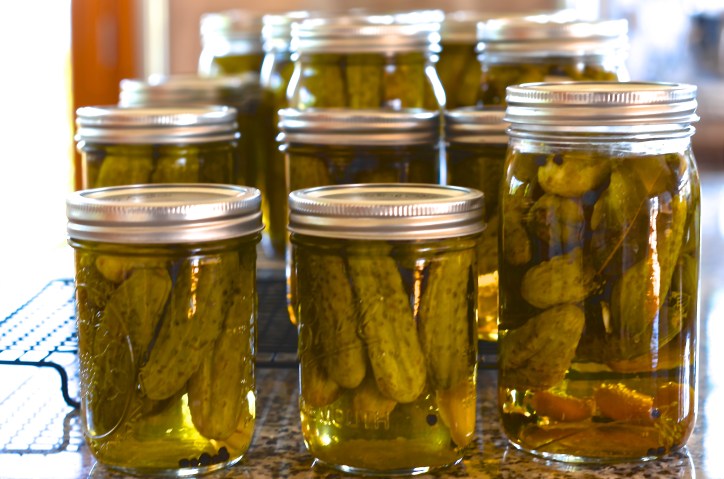 Cucumber Pickles