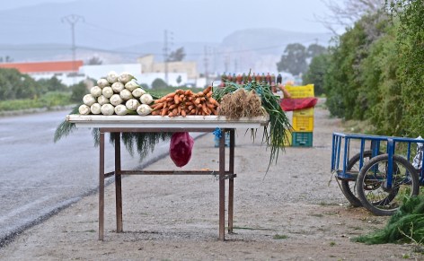 Veg Stand