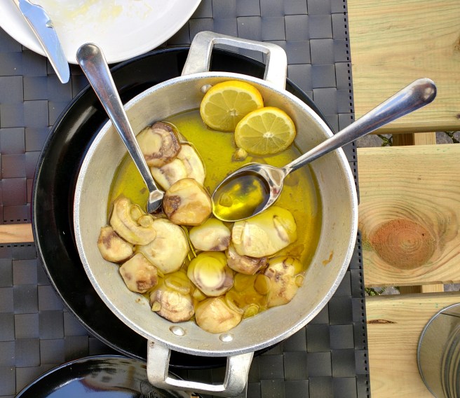 IMG_20160320_121337-01