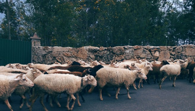 IMG_20160321_155853~2